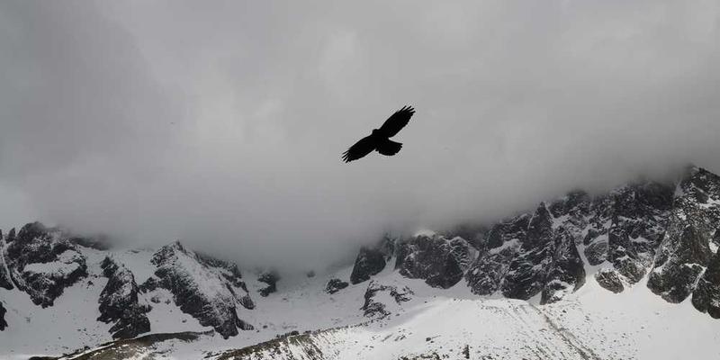 电商广告解决方案